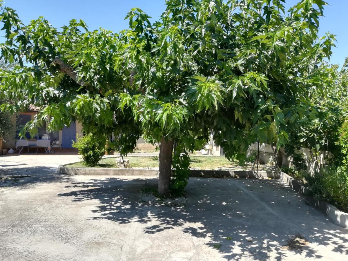 La Maison d'Ogooué Carpentras Esterno foto